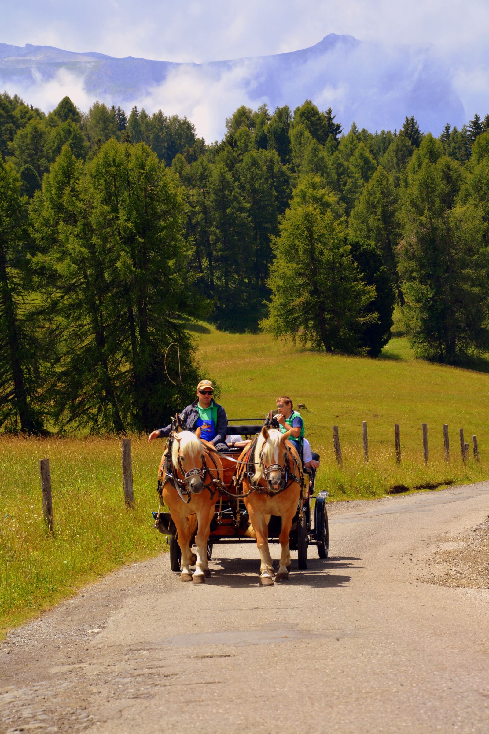 Nikon D7100 sample photo. Horse, calash, carrozza photography