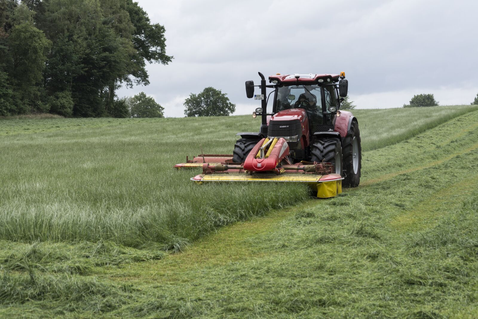 Nikon D5200 sample photo. Lawn mowing, tractor, mow photography