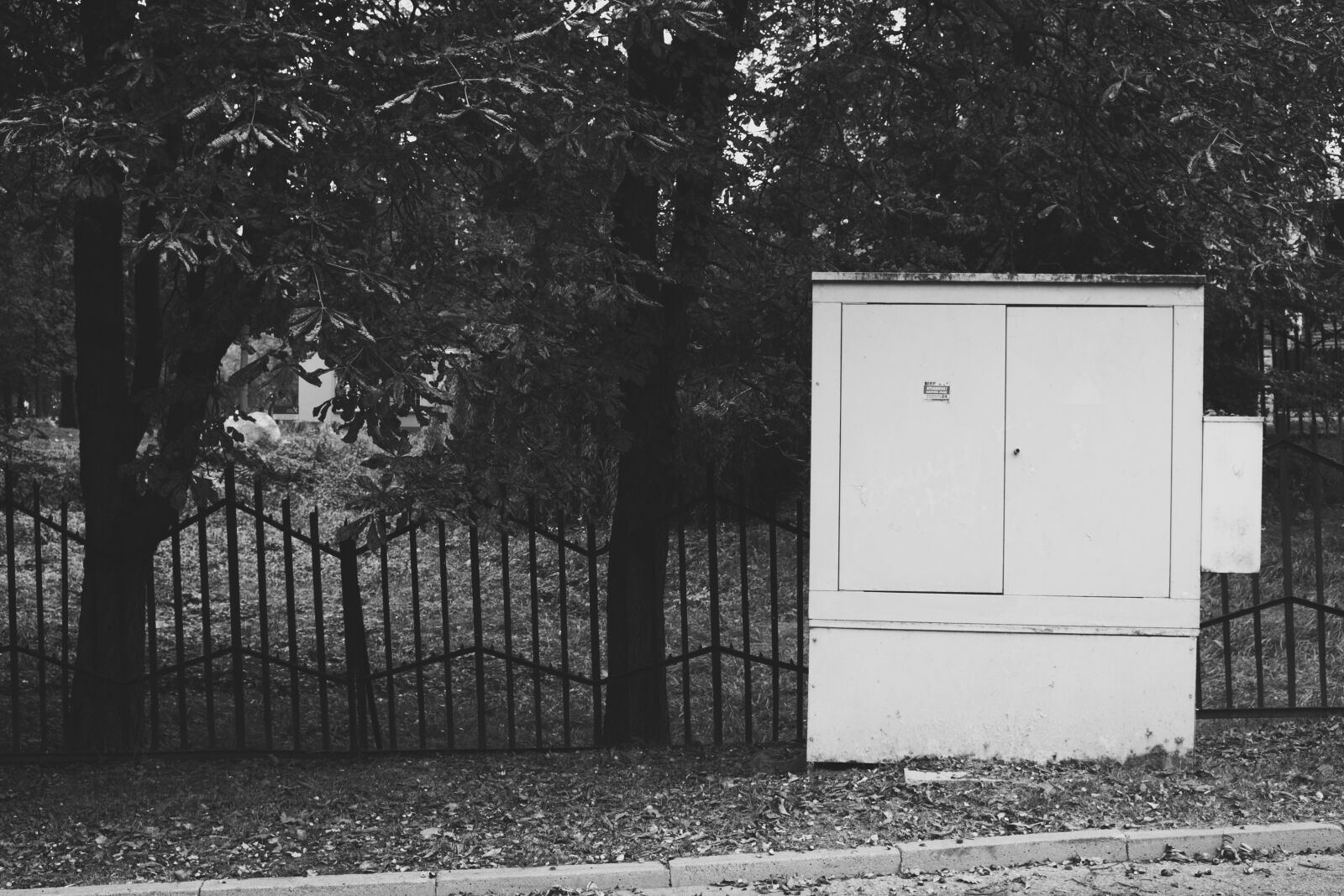 Canon EOS 700D (EOS Rebel T5i / EOS Kiss X7i) sample photo. Black, and, white, fallen photography
