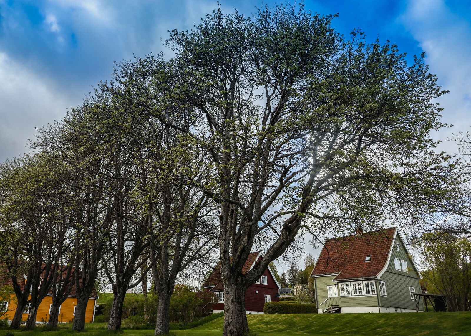 Canon EOS R sample photo. Landscape, sky, house photography