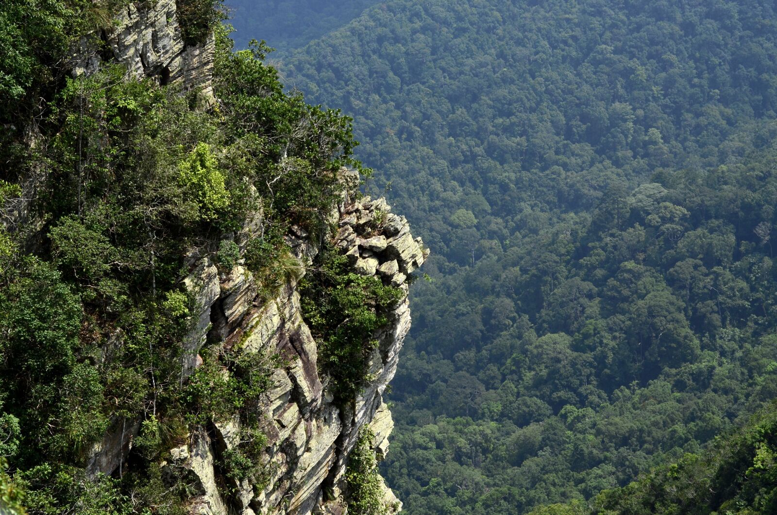 Nikon D7000 sample photo. Hills, cliff, rainforest photography