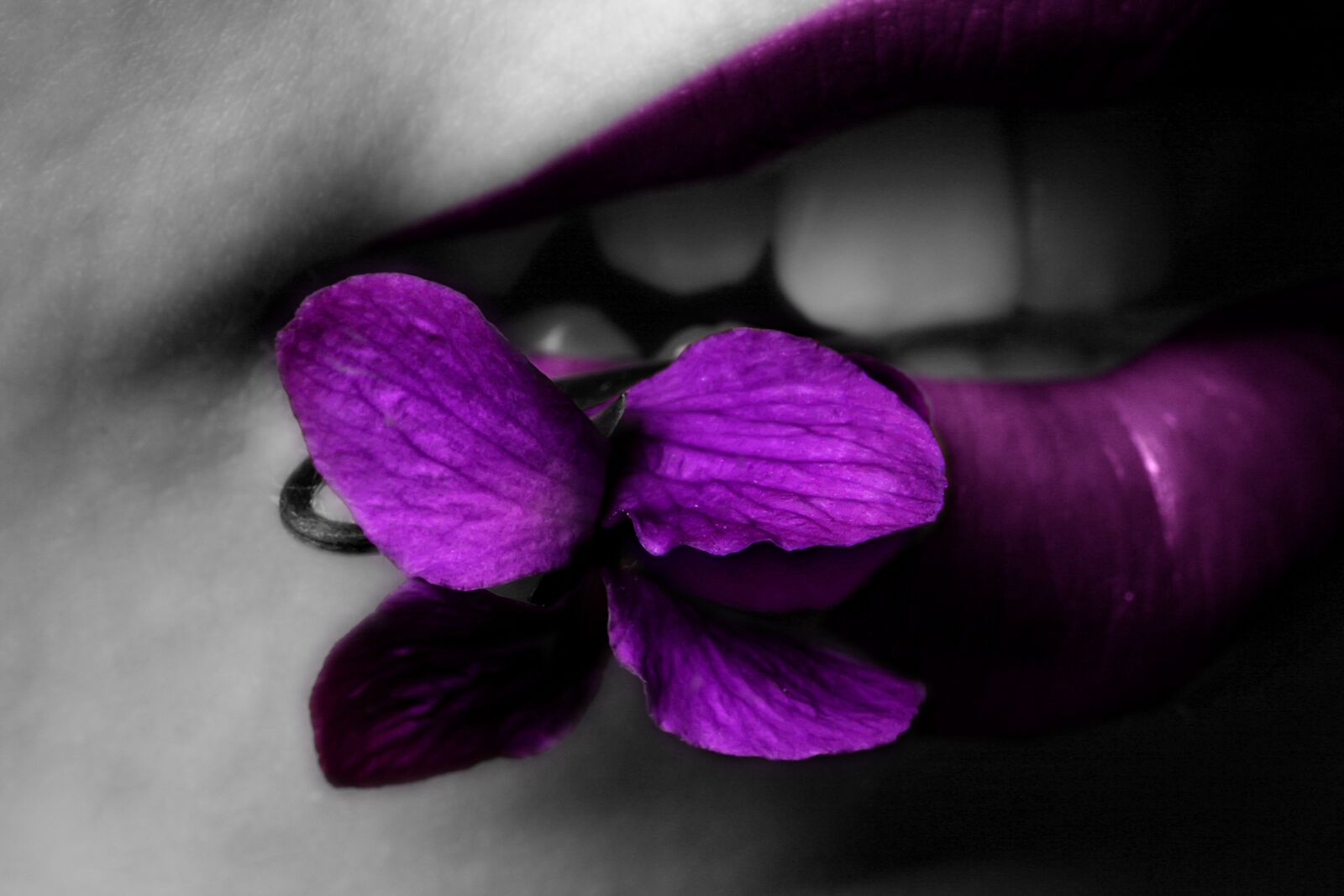 Canon EOS 400D (EOS Digital Rebel XTi / EOS Kiss Digital X) sample photo. Purple, lips, violet photography