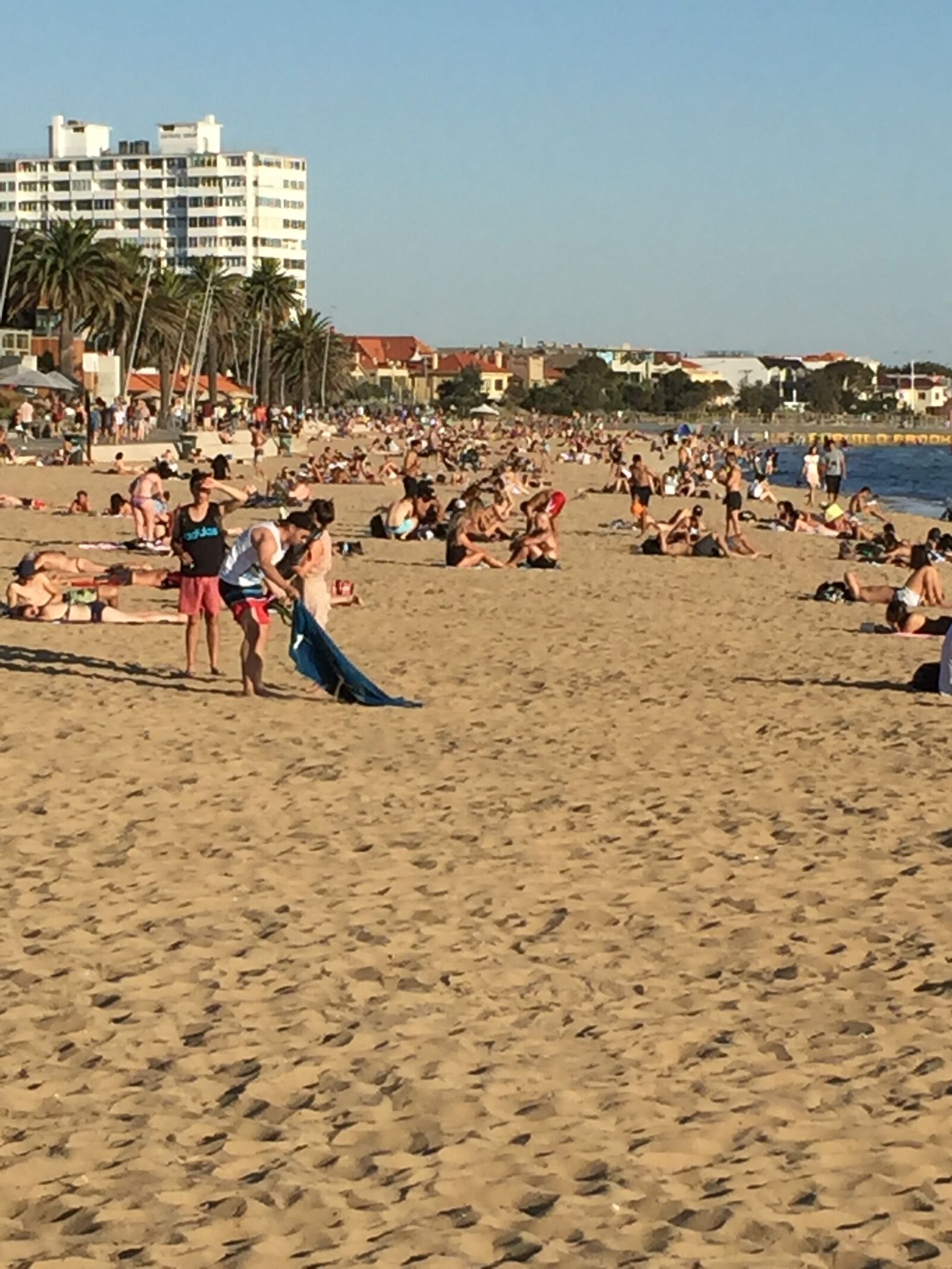 iPhone 6 Plus back camera 4.15mm f/2.2 sample photo. Australia, melbourne, st, kilda photography