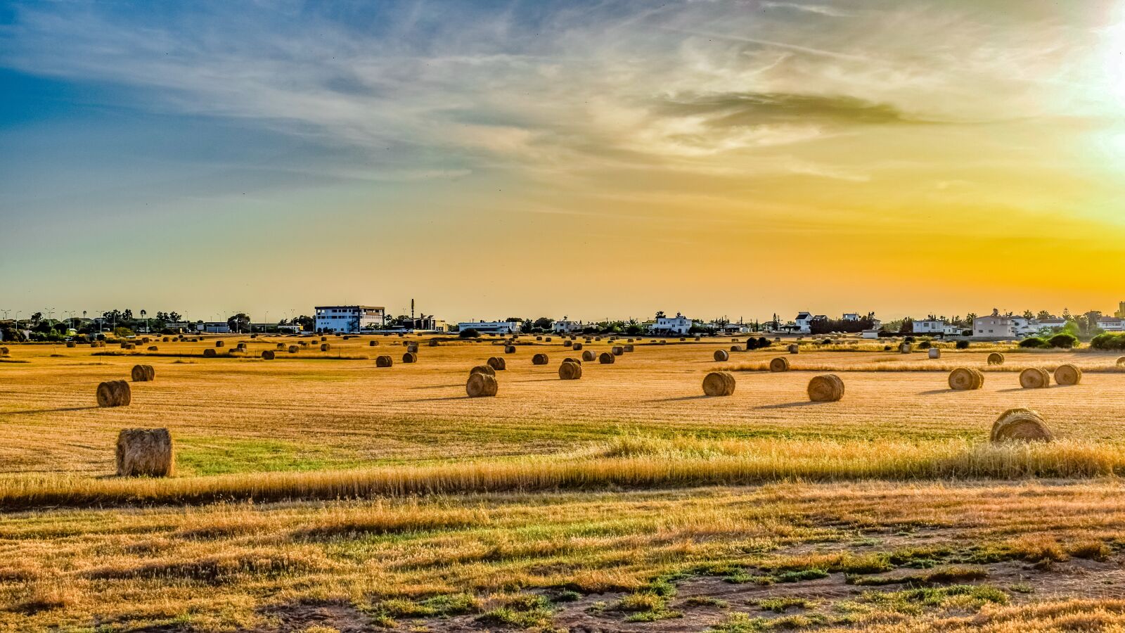 Nikon D3300 sample photo. Field, landscape, agriculture photography