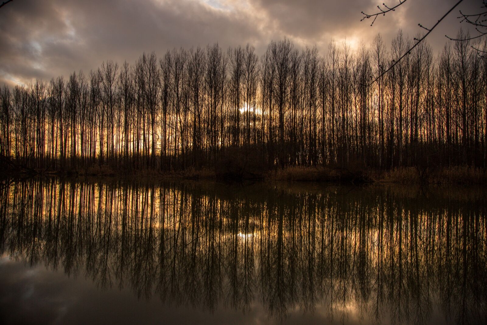 Canon EF 24-105mm F4L IS USM sample photo. River, landscape, nature photography