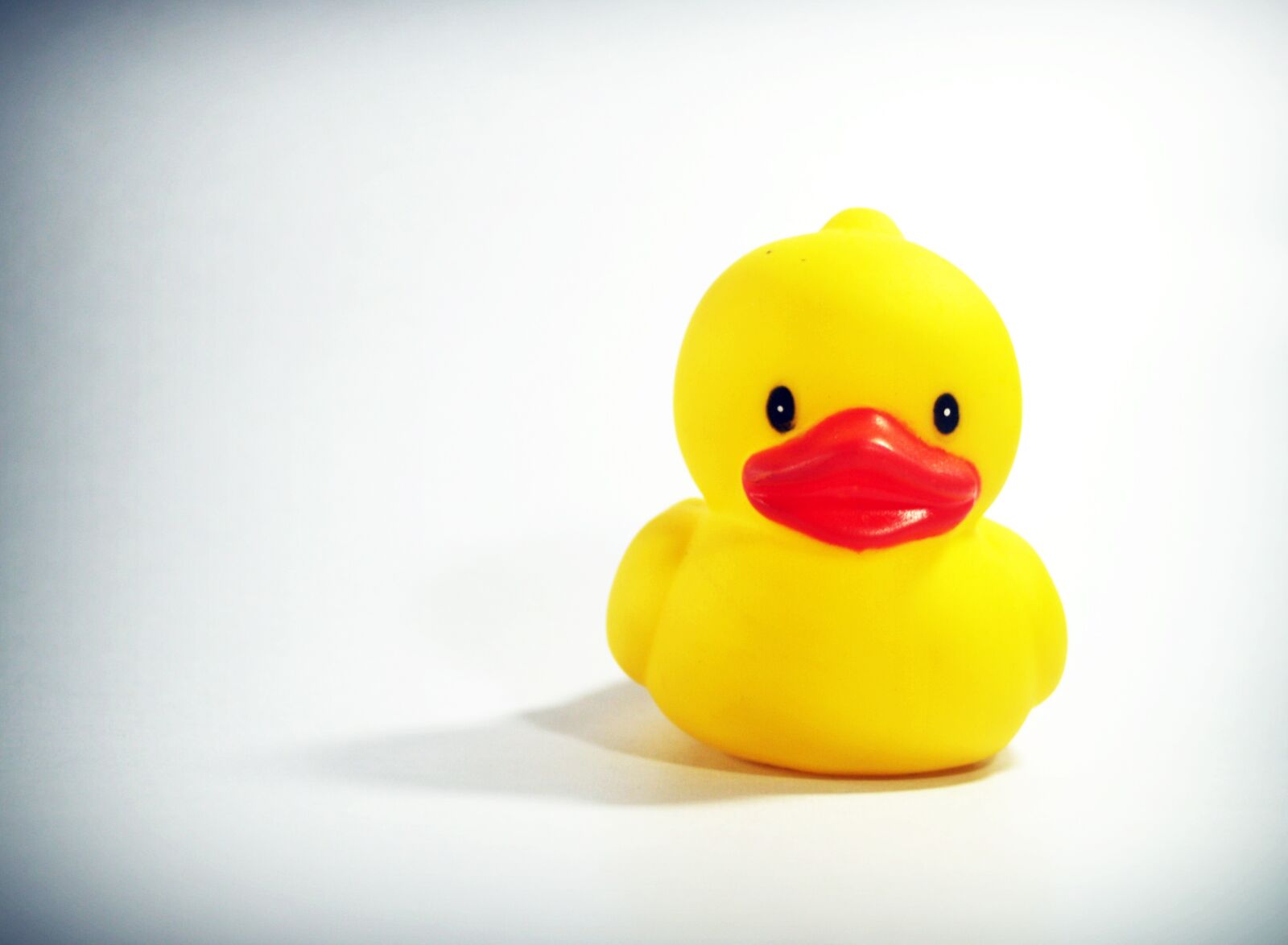 Olympus E-300 (EVOLT E-300) sample photo. Bath, ducks, bathing, bathroom photography