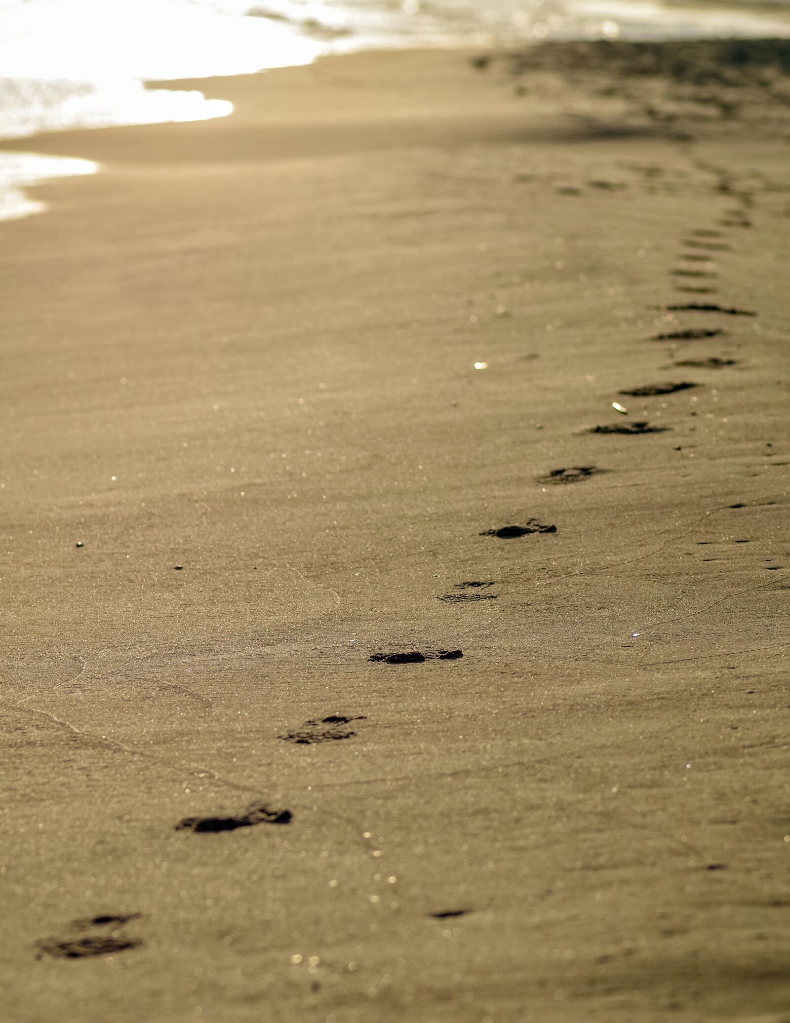 Pentax K-S2 sample photo. Footprints in the sand photography