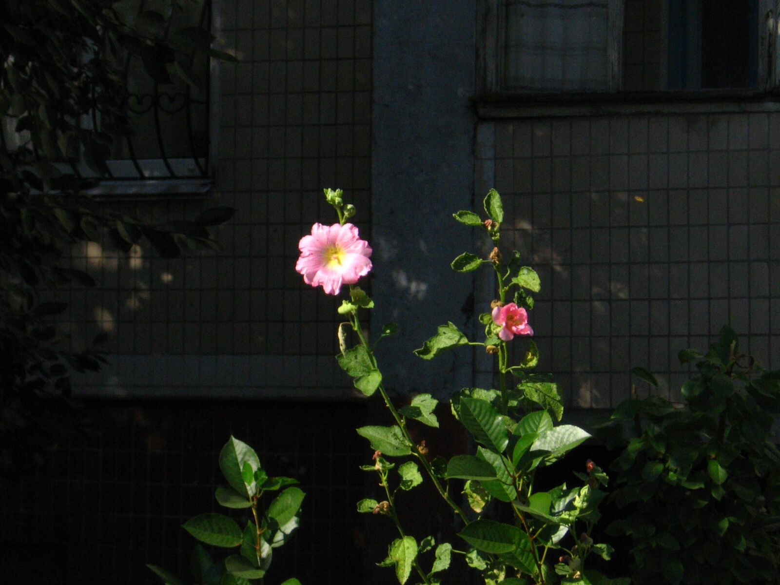 Canon POWERSHOT A510 sample photo
