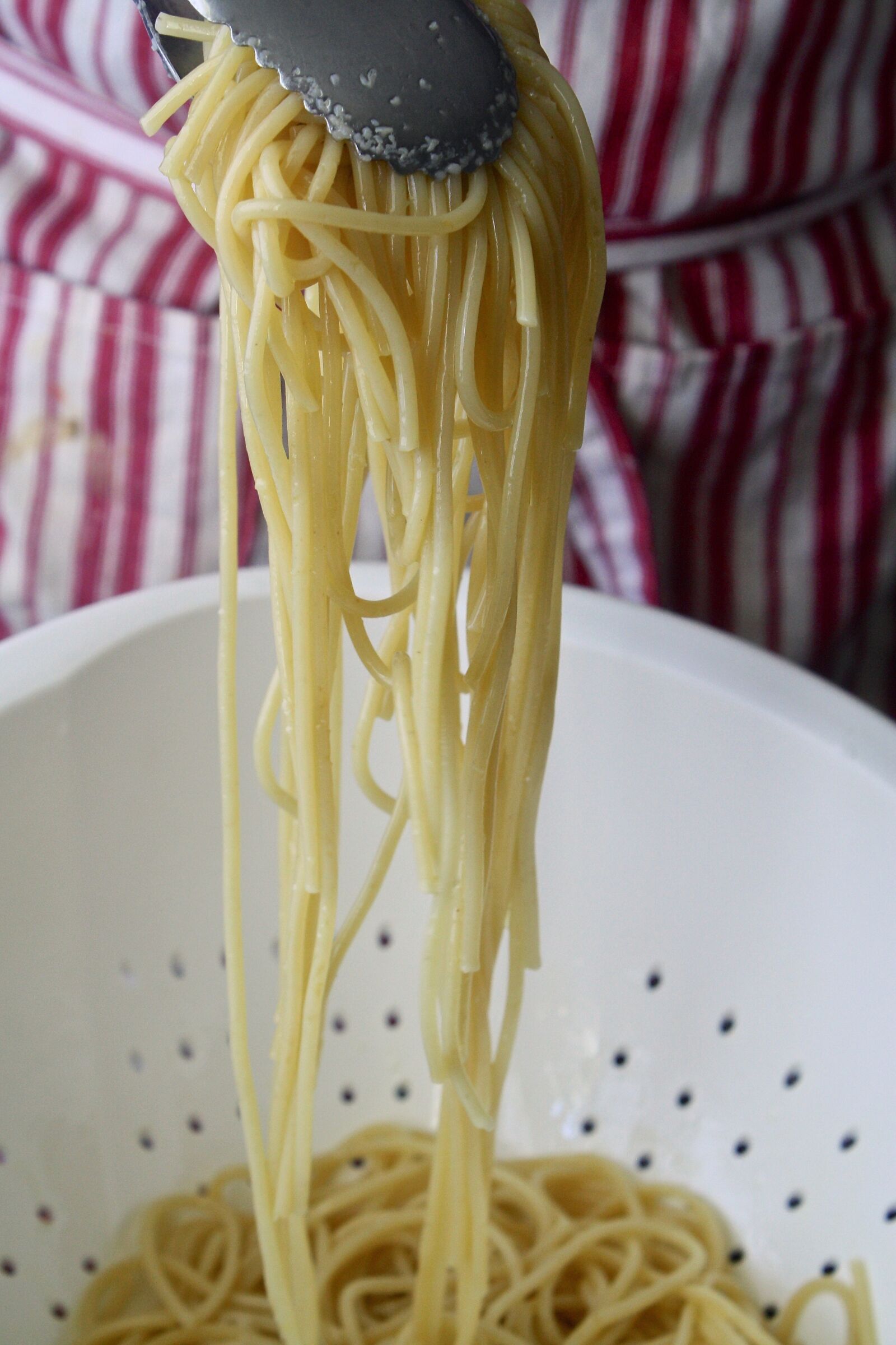 Canon EOS 1000D (EOS Digital Rebel XS / EOS Kiss F) sample photo. Pasta, spaghetti, food photography