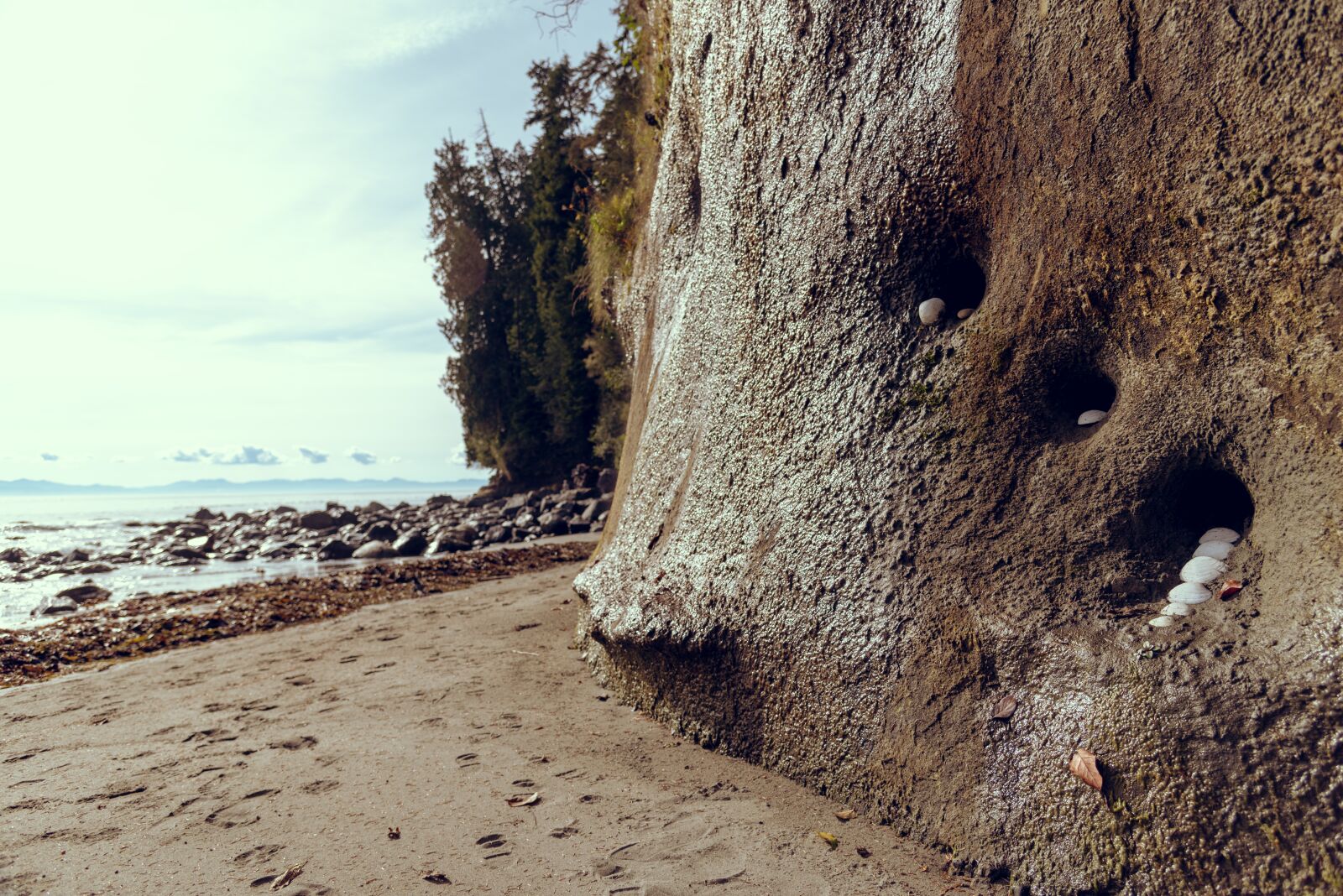 Nikon D750 sample photo. Beach, holes, prints photography
