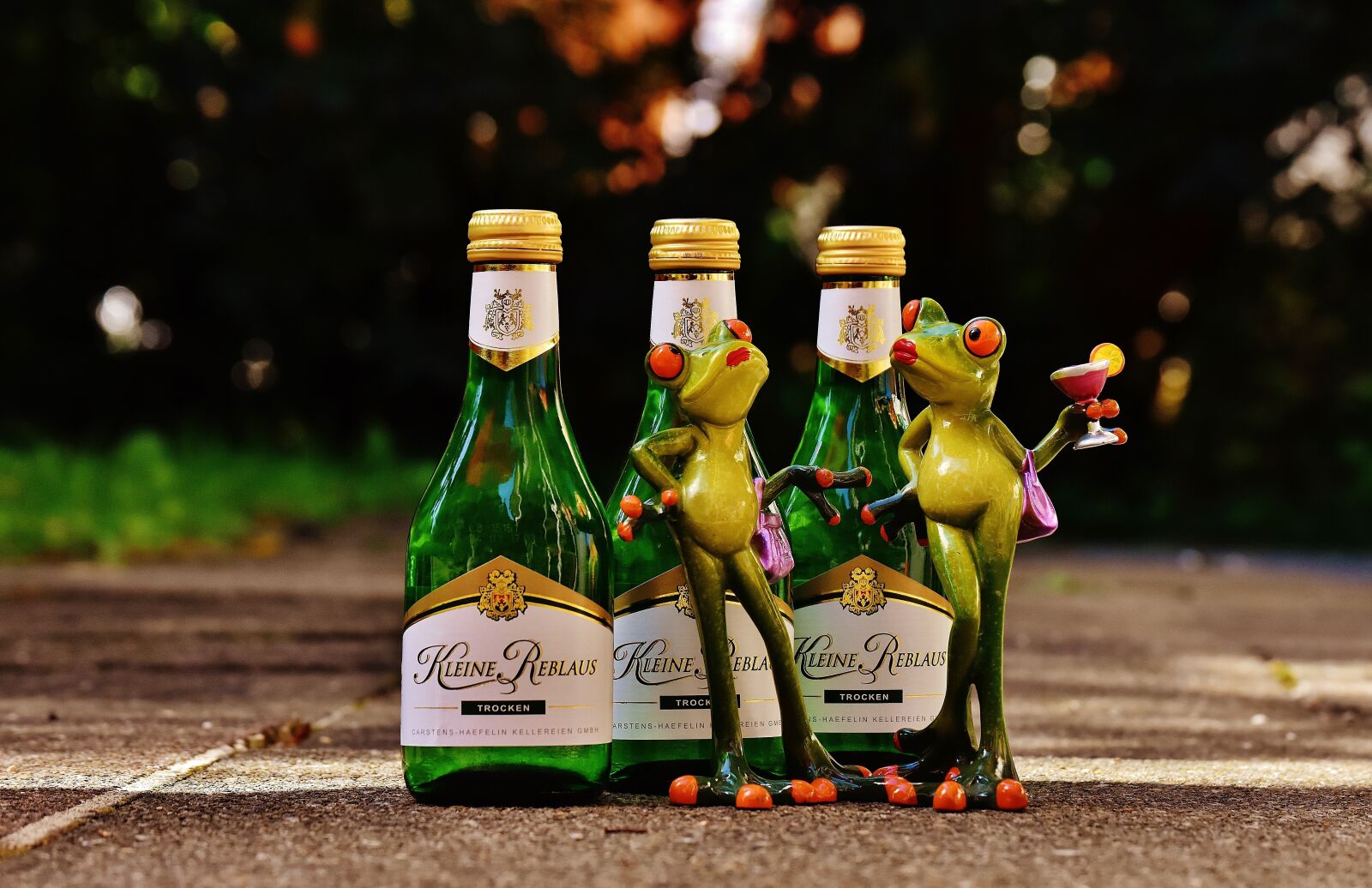 Nikon D7200 sample photo. Frogs, wine, drink photography