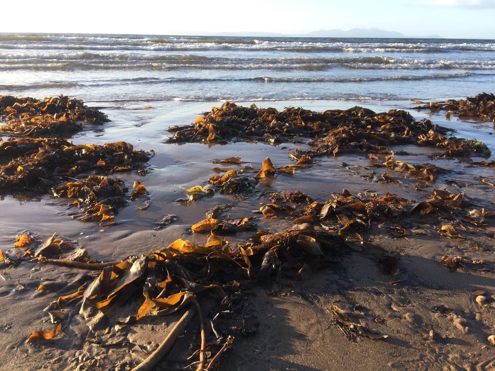 iPhone 6 Plus back camera 4.15mm f/2.2 sample photo. Sea, seaside, water photography