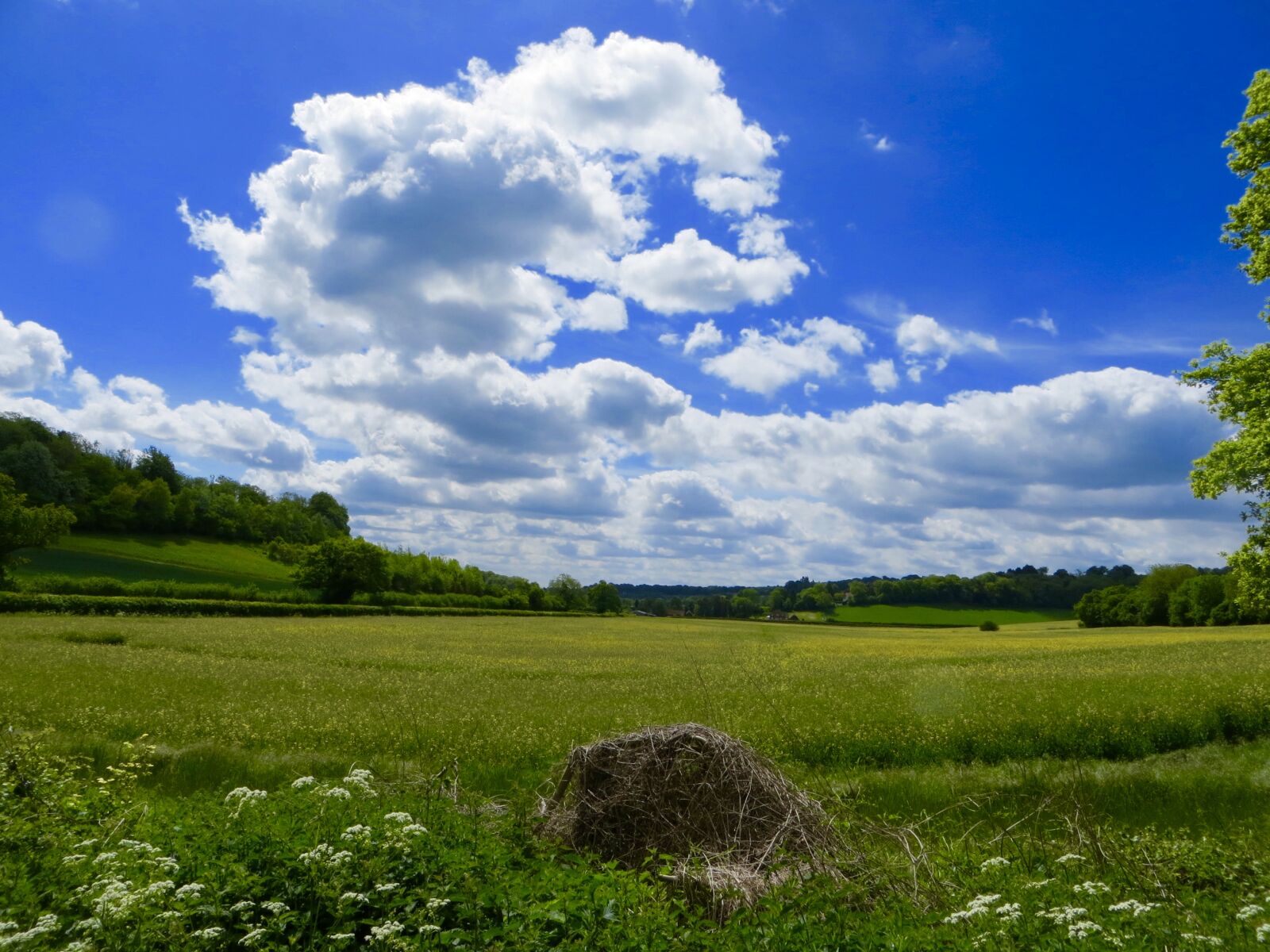 Canon PowerShot SX240 HS sample photo. Bright, cloud, countryside, cropland photography