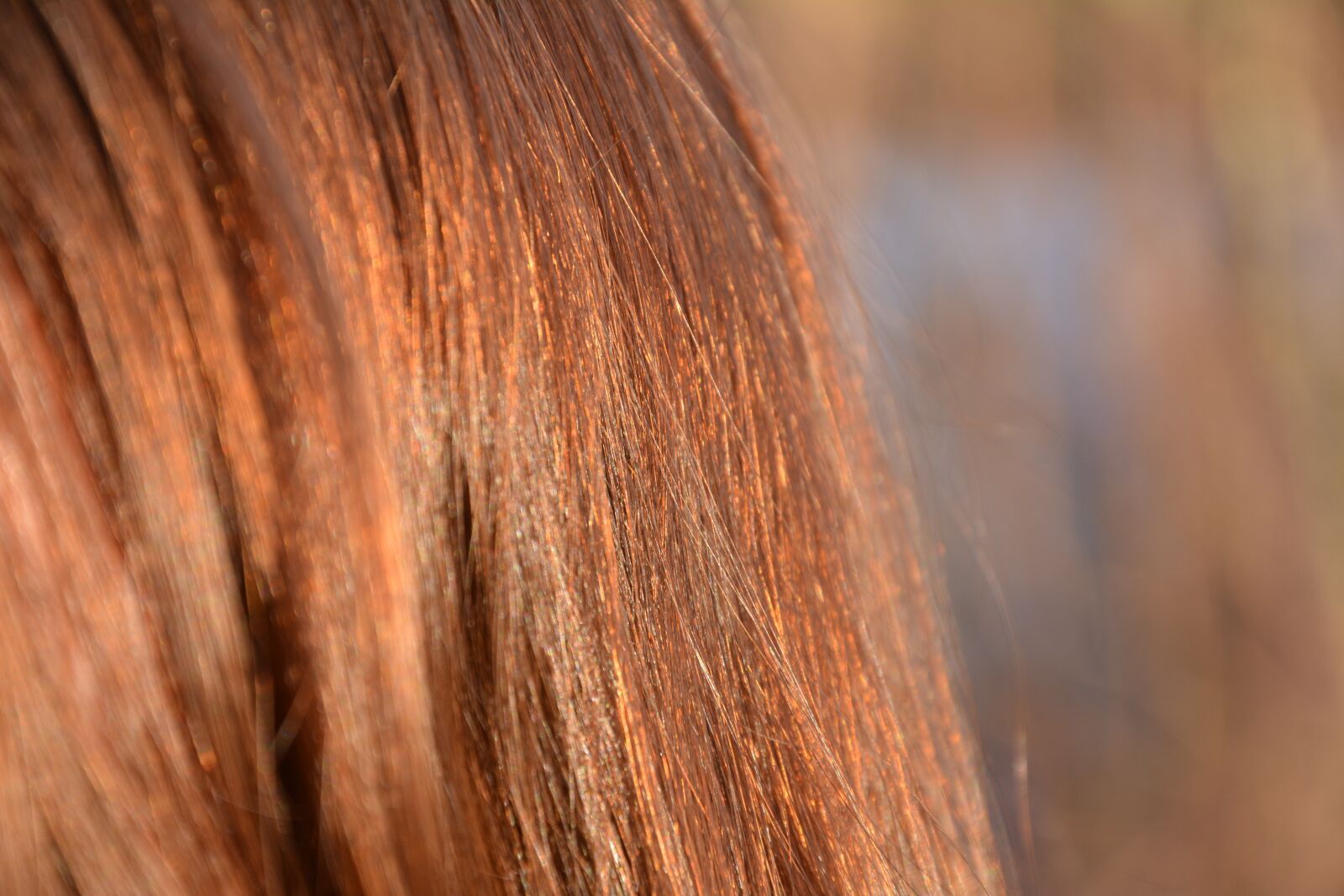 Nikon D5200 sample photo. Hair, red, detail photography