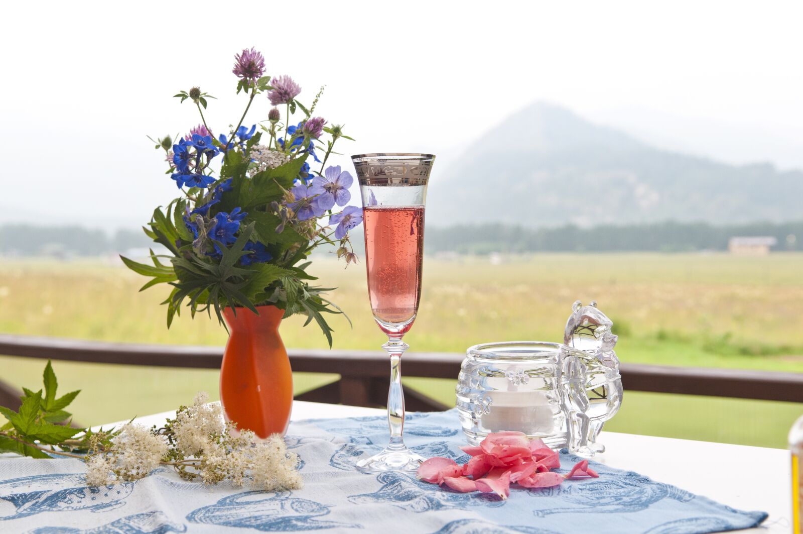 Nikon D300 sample photo. Flowers, champagne, mountains photography