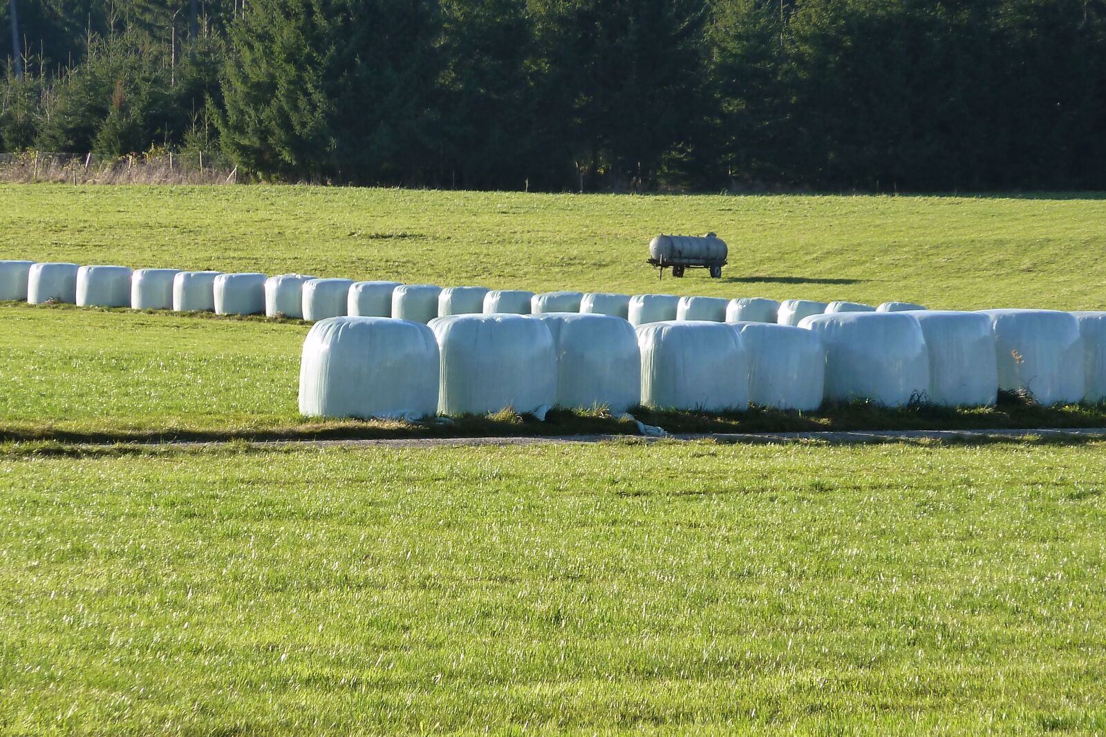Panasonic Lumix DMC-ZS7 (Lumix DMC-TZ10) sample photo. Silage, food, agriculture photography