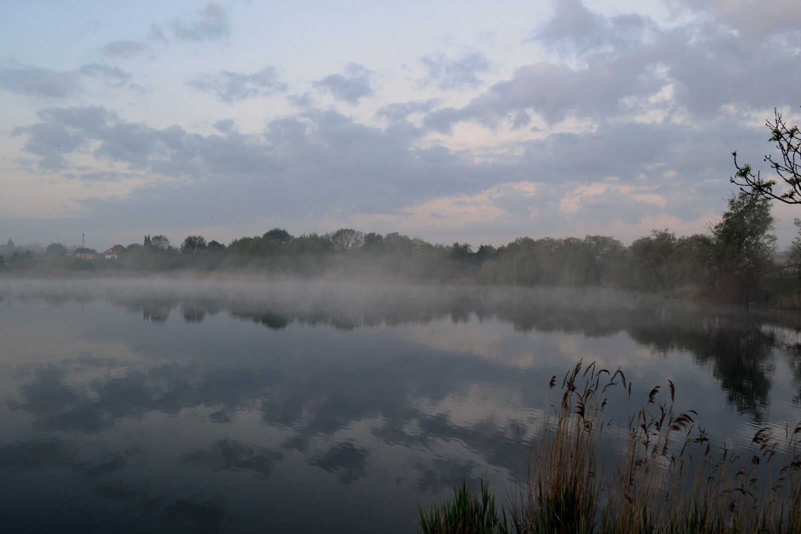Nikon D3100 sample photo. The fog, lake, landscape photography