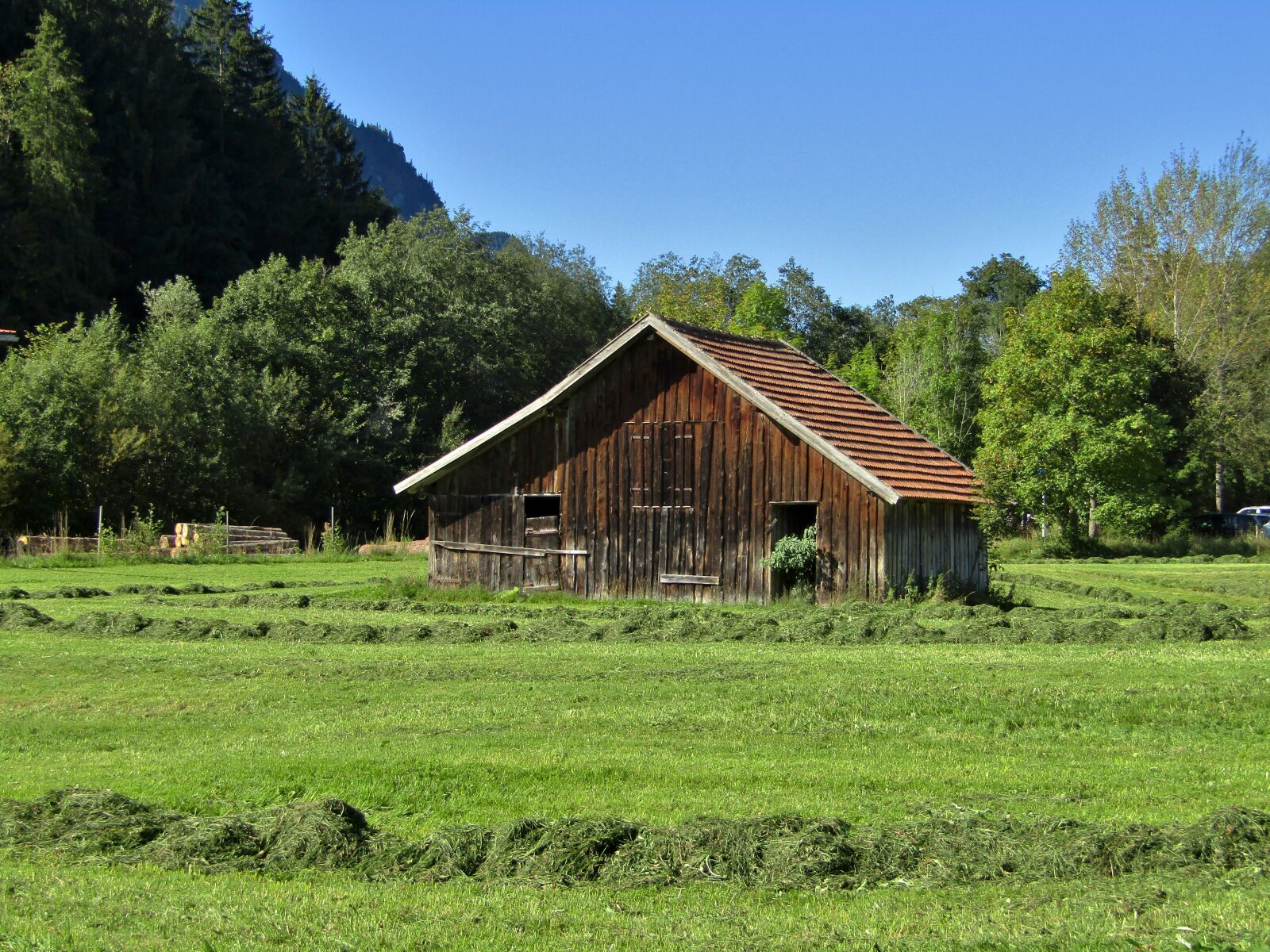 Canon POWERSHOT SX432 IS sample photo. Hut, hay, trees photography