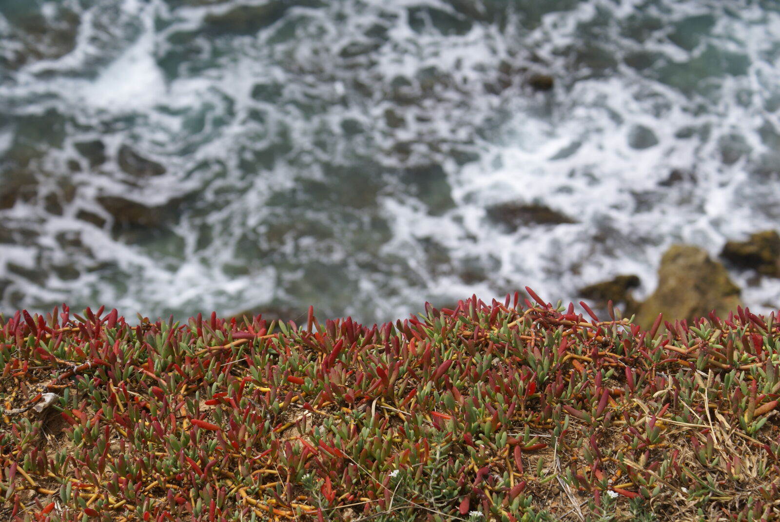 Sony Alpha DSLR-A100 sample photo. Costal photography