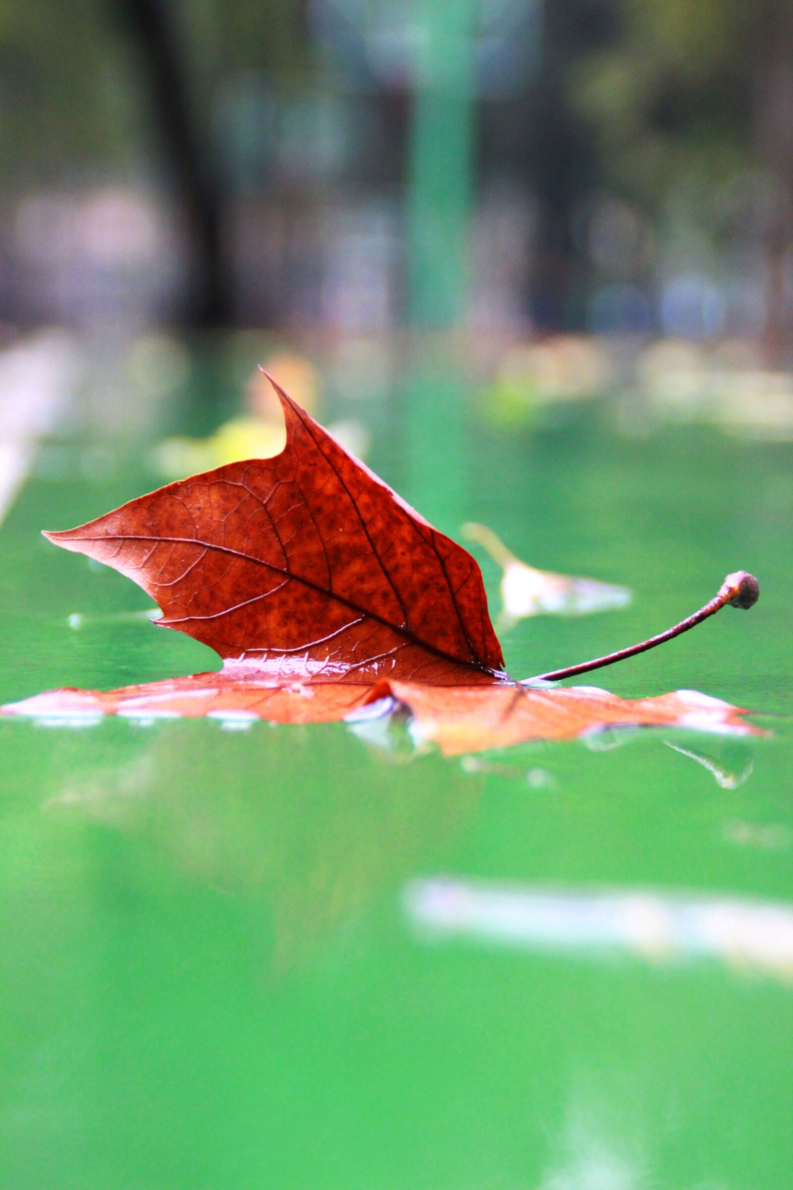 Canon EOS 600D (Rebel EOS T3i / EOS Kiss X5) sample photo. Indus, playground, rain photography