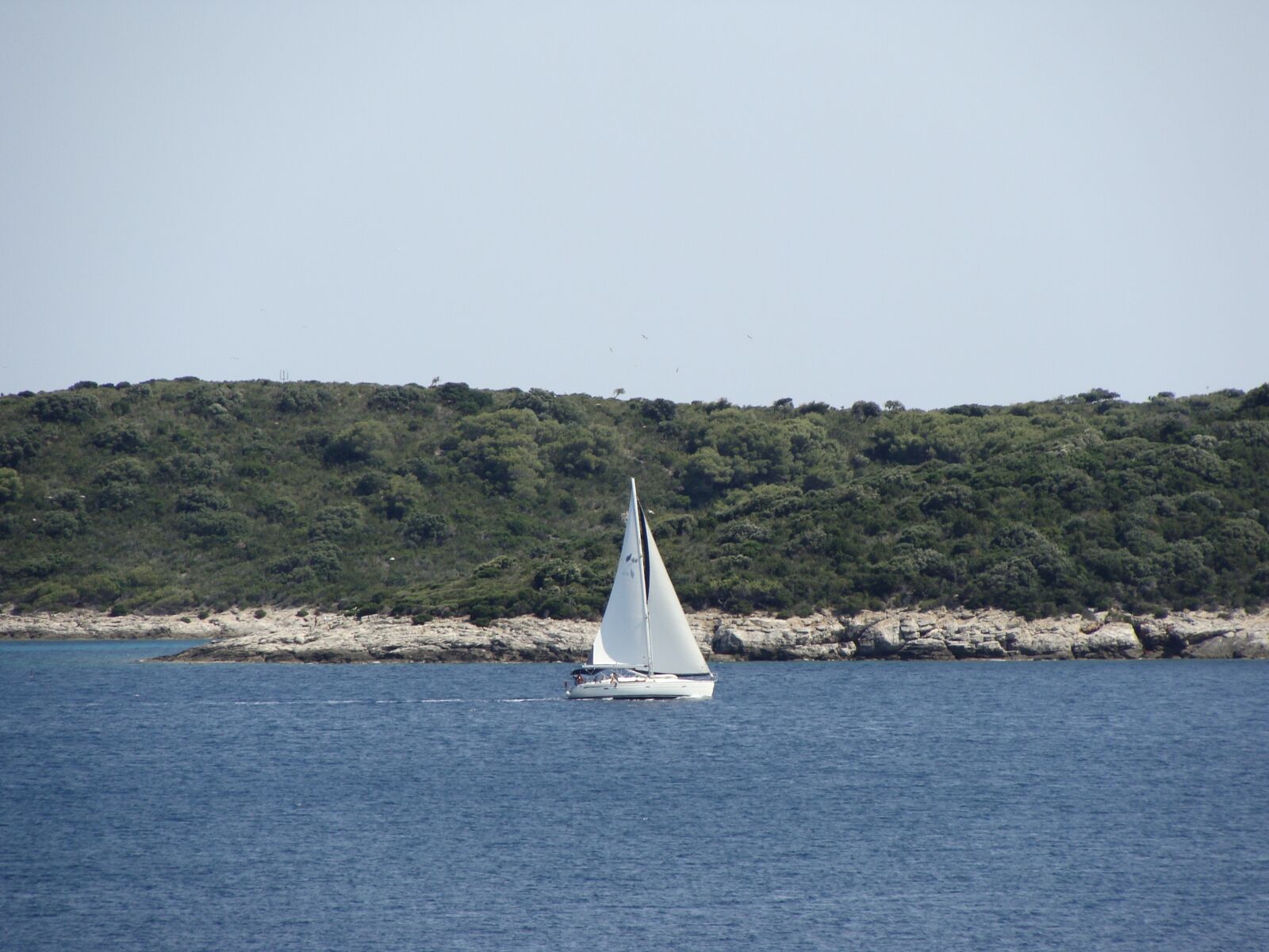 Sony Cyber-shot DSC-H10 sample photo. Sail boat, boat, ship photography