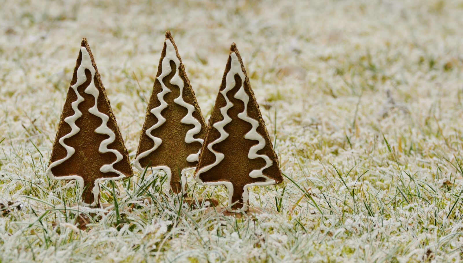 Nikon D5200 sample photo. Trees, gingerbread, hoarfrost photography