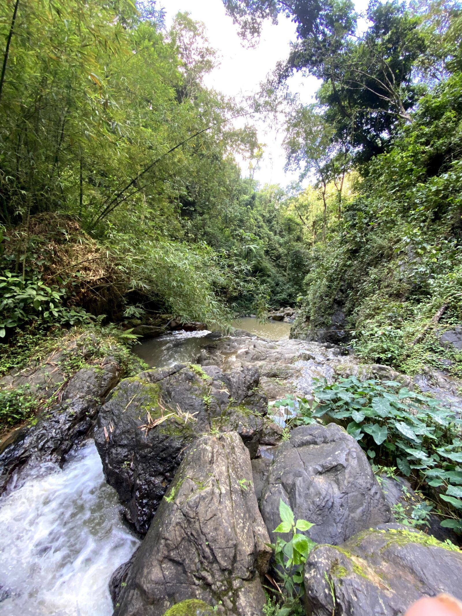 iPhone 11 Pro Max back triple camera 1.54mm f/2.4 sample photo. Hiking, puerto rico, outdoors photography