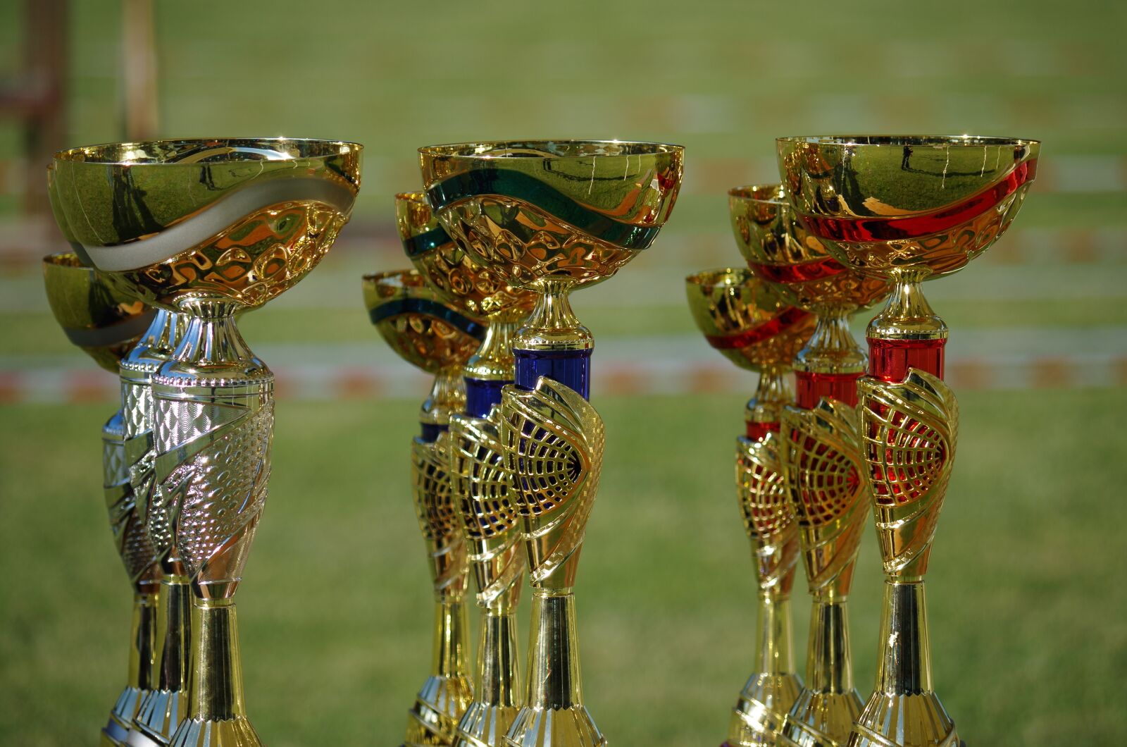 Pentax K-500 sample photo. Win, cup, competition photography