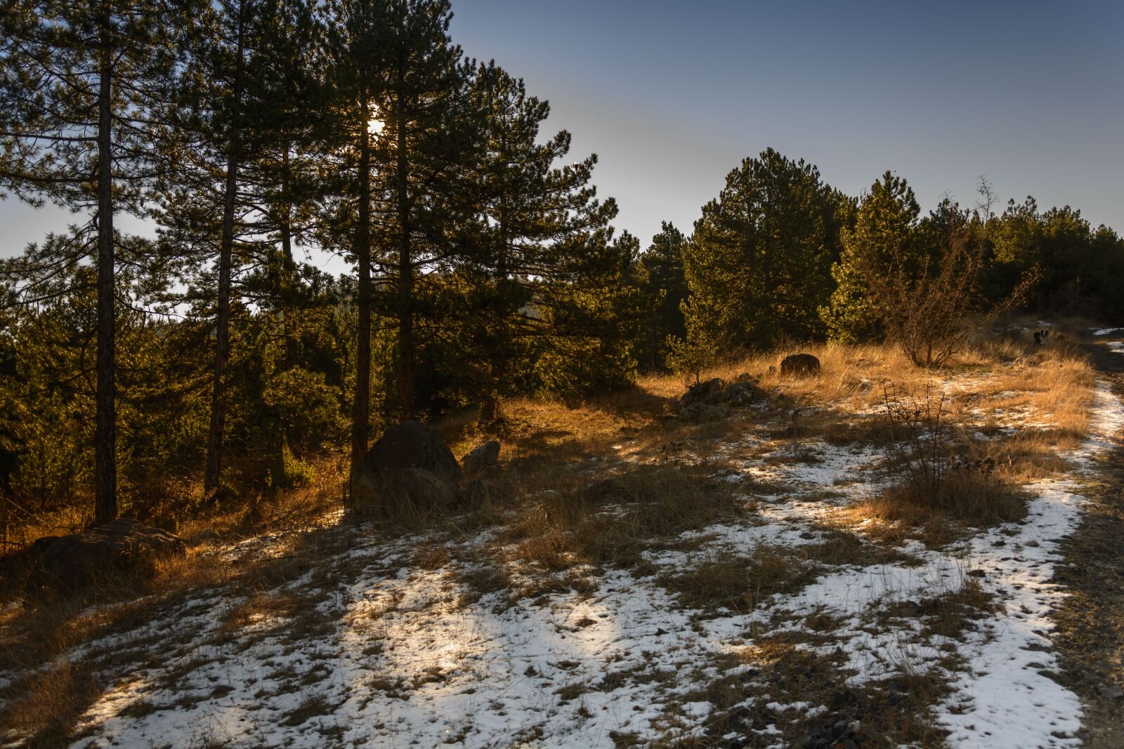 Nikon D7100 sample photo. Outdoor, snow, tree photography