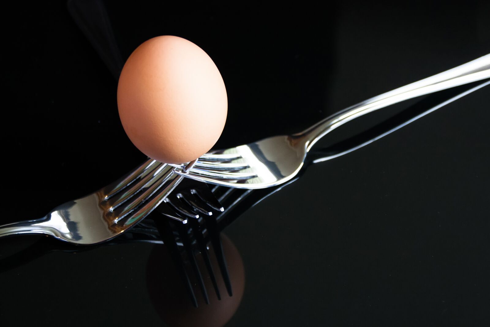 Canon EOS 40D sample photo. Egg, forks, boiled photography