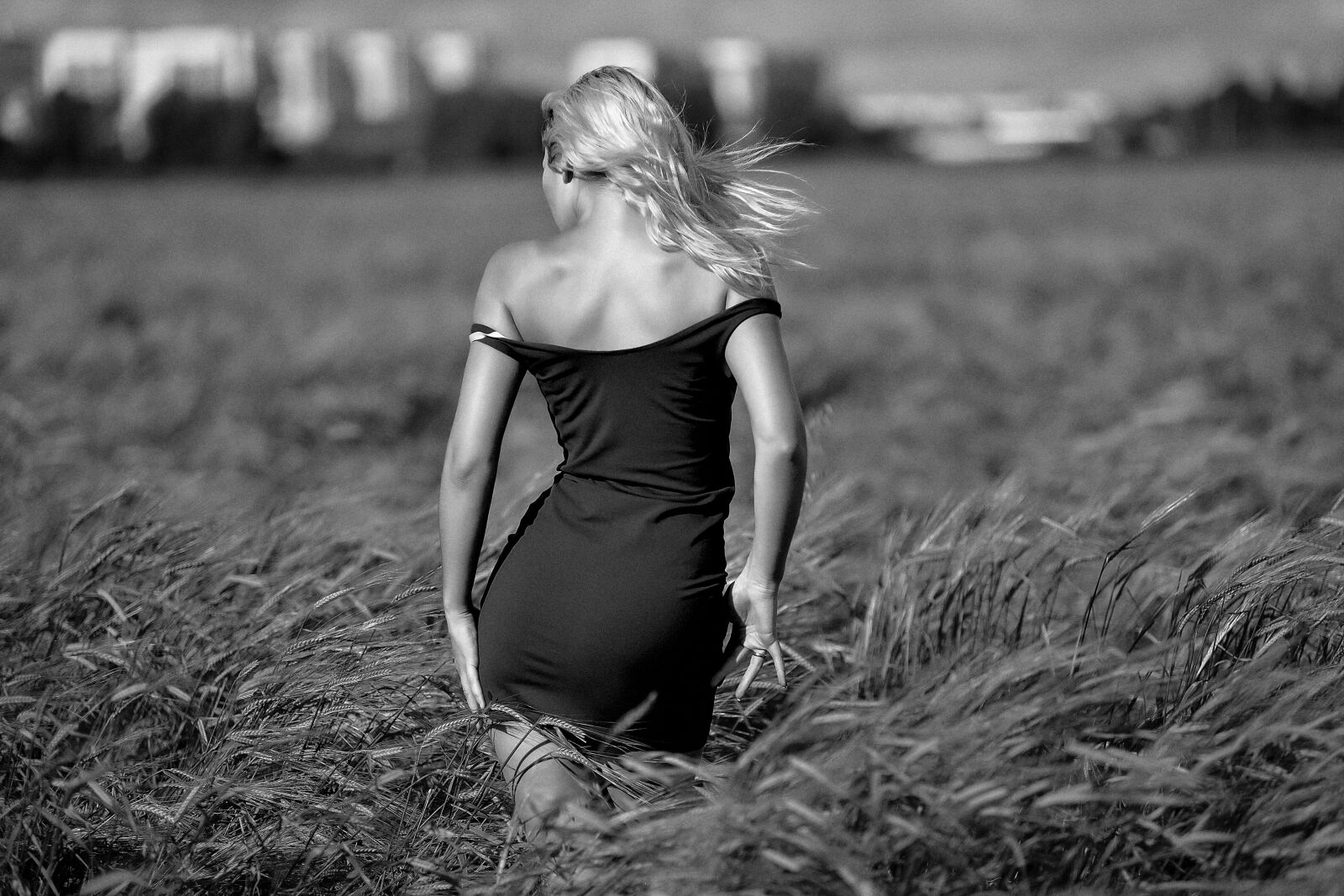 Nikon D800 sample photo. Girl in a field photography