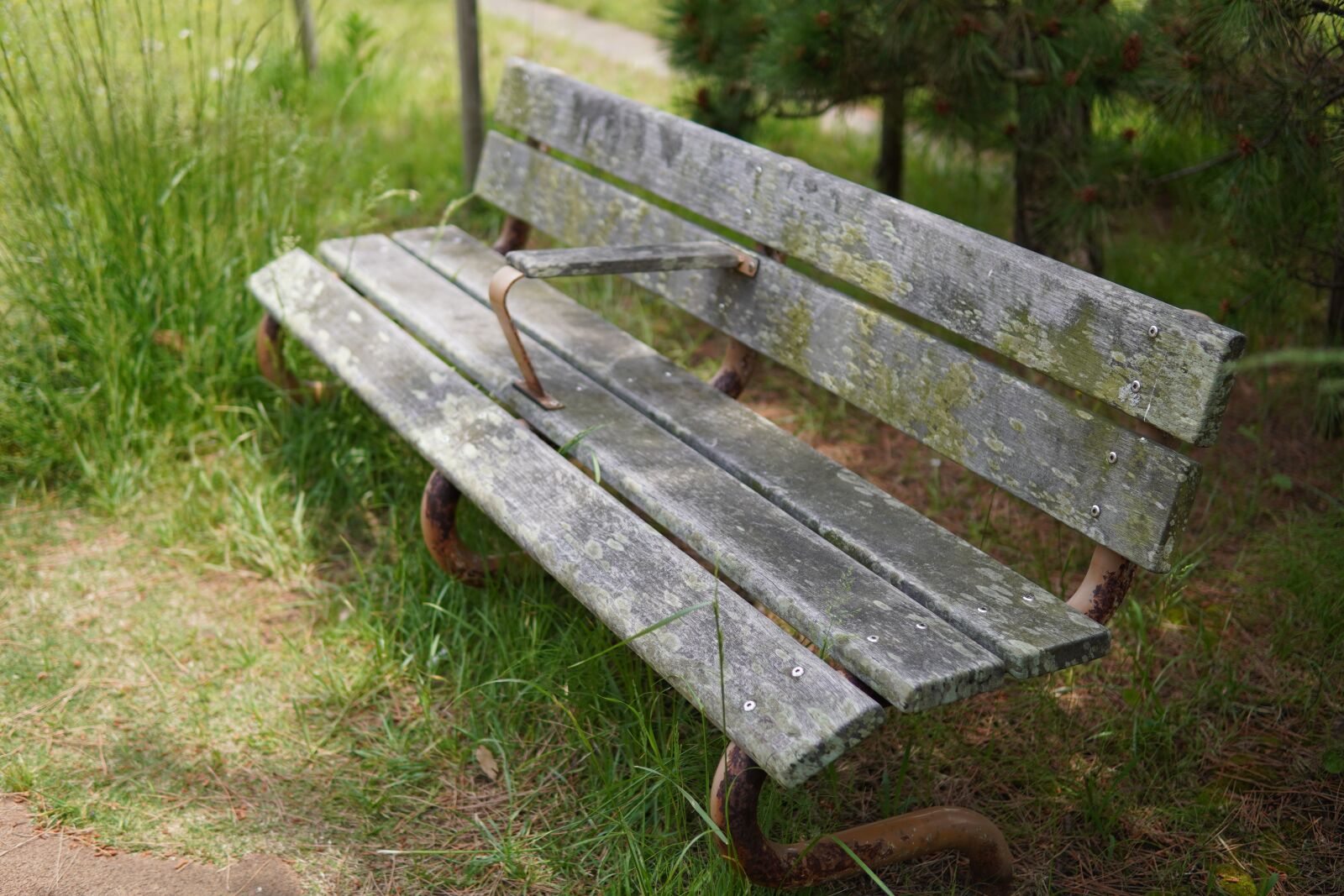 30mm F1.4 DC DN | Contemporary 016 sample photo. Chair, old, bench photography