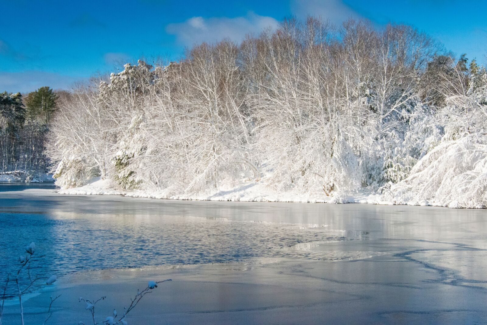Nikon D800 sample photo. Winter, snow, trees photography