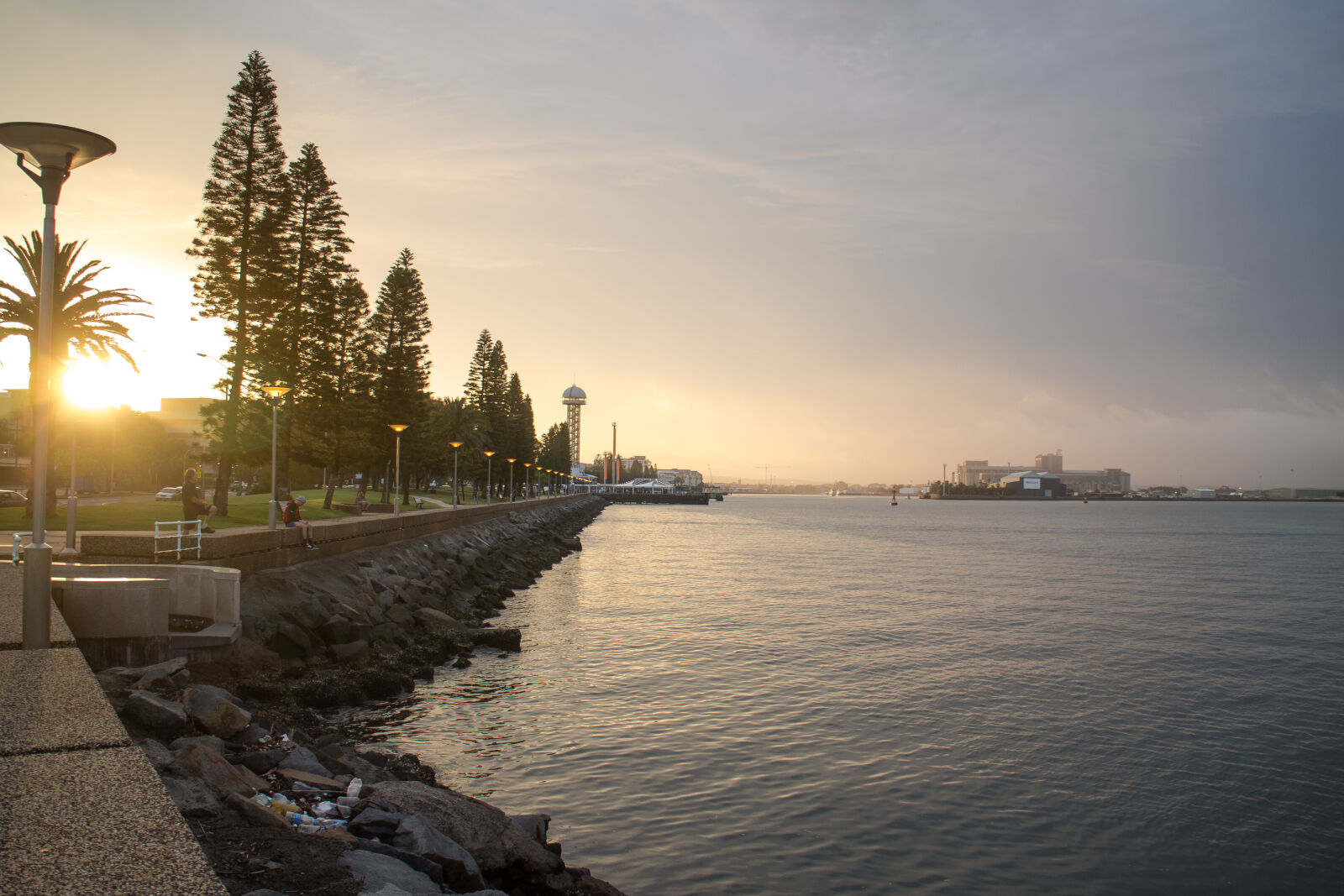 Canon EOS M2 sample photo. View, of, trees, at photography