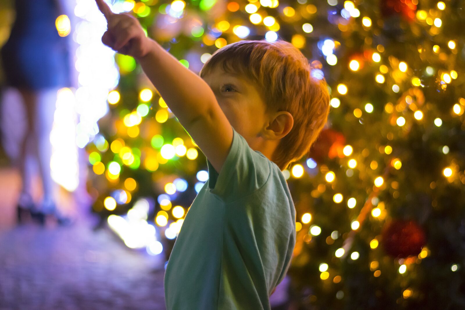 Nikon D5300 sample photo. Christmas, ice cream, lights photography