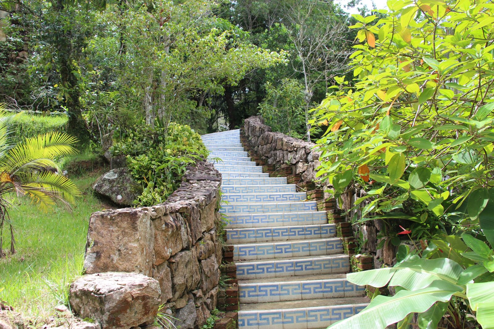 Canon EOS 650D (EOS Rebel T4i / EOS Kiss X6i) sample photo. Ladder, garden, tiles photography