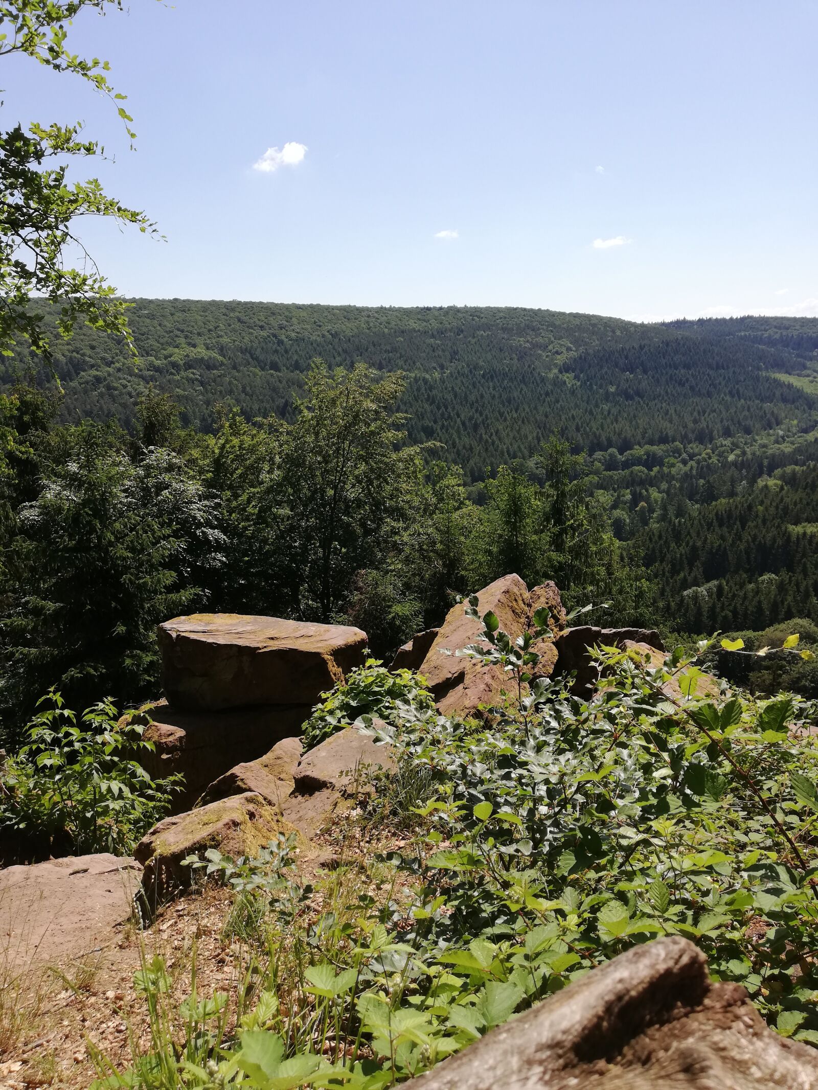 HUAWEI P20 lite sample photo. Hike, odenwald, thief stone photography