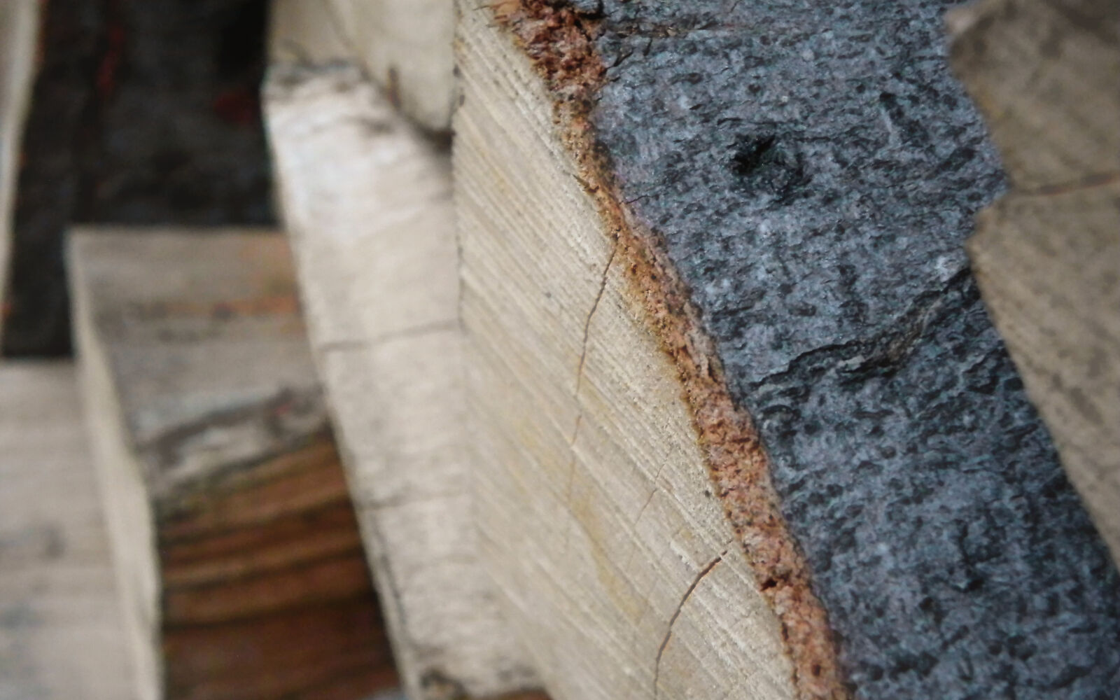 Nikon Coolpix P100 sample photo. Wood photography