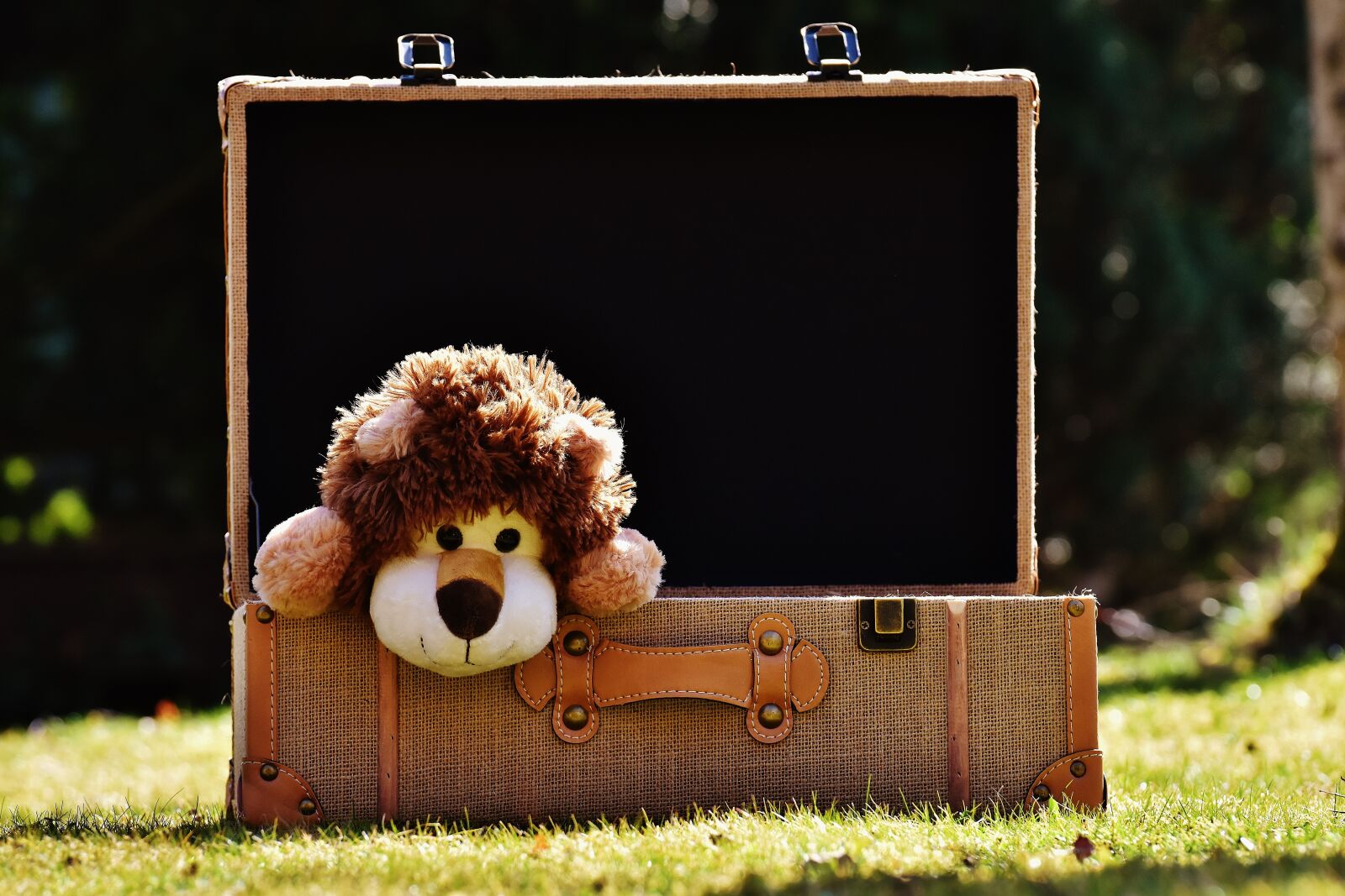 Nikon D7200 sample photo. Teddy bear, lion, luggage photography