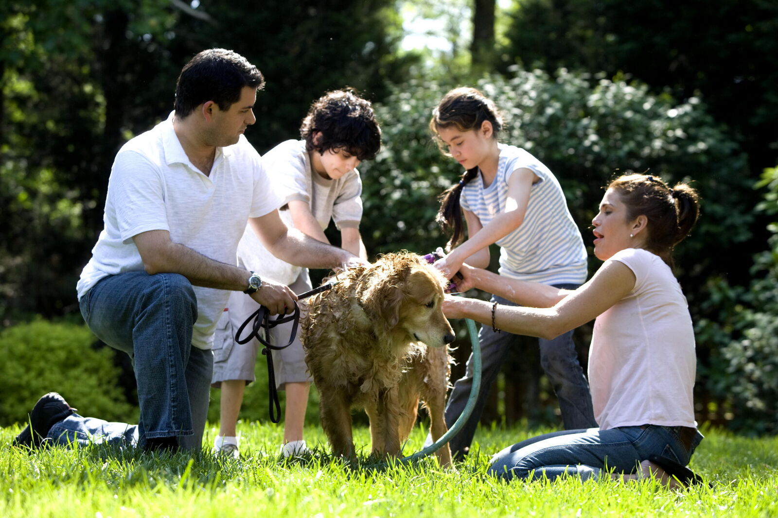 Canon EOS-1Ds Mark II sample photo. Washing, furry, labrador, retriever photography
