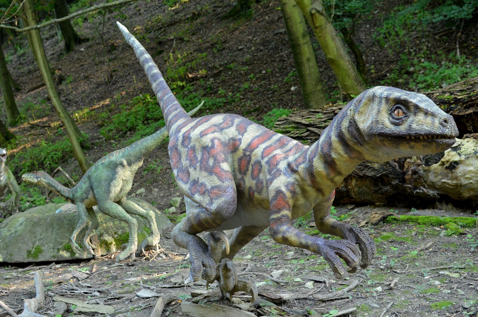 Nikon D5100 sample photo. Dinosaur, dinopark, the prehistoric photography
