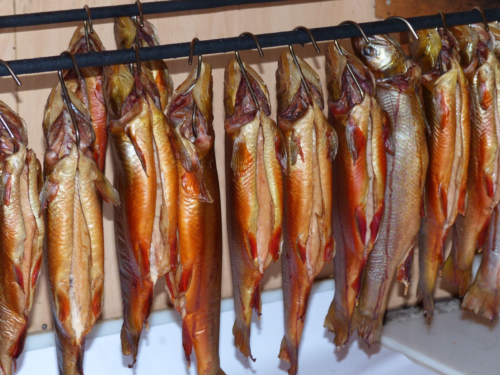 Panasonic Lumix DMC-FZ200 sample photo. Char, fischraeucherei, fish photography