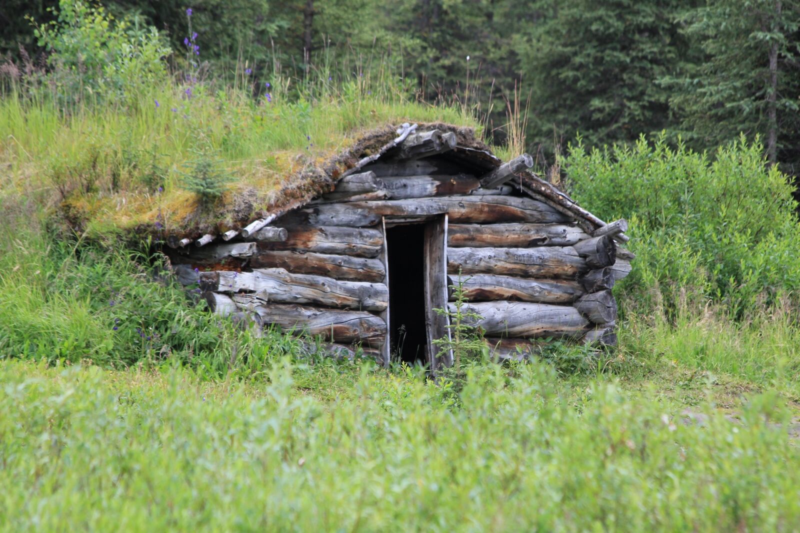 Canon EOS 550D (EOS Rebel T2i / EOS Kiss X4) sample photo. Log cabin, historic, home photography