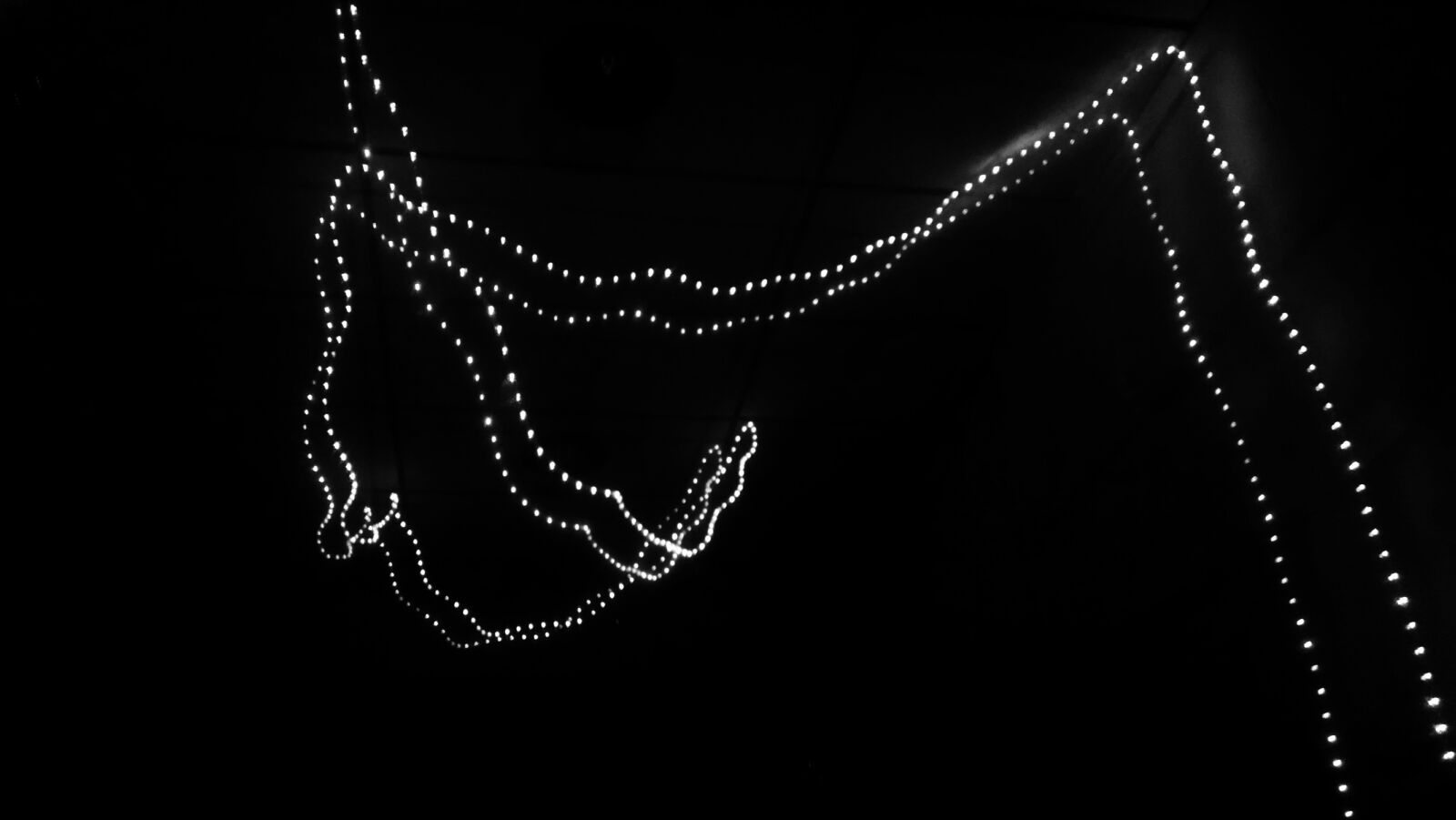 Motorola Moto X (1st Gen) sample photo. Lights, night, reflection, theme photography