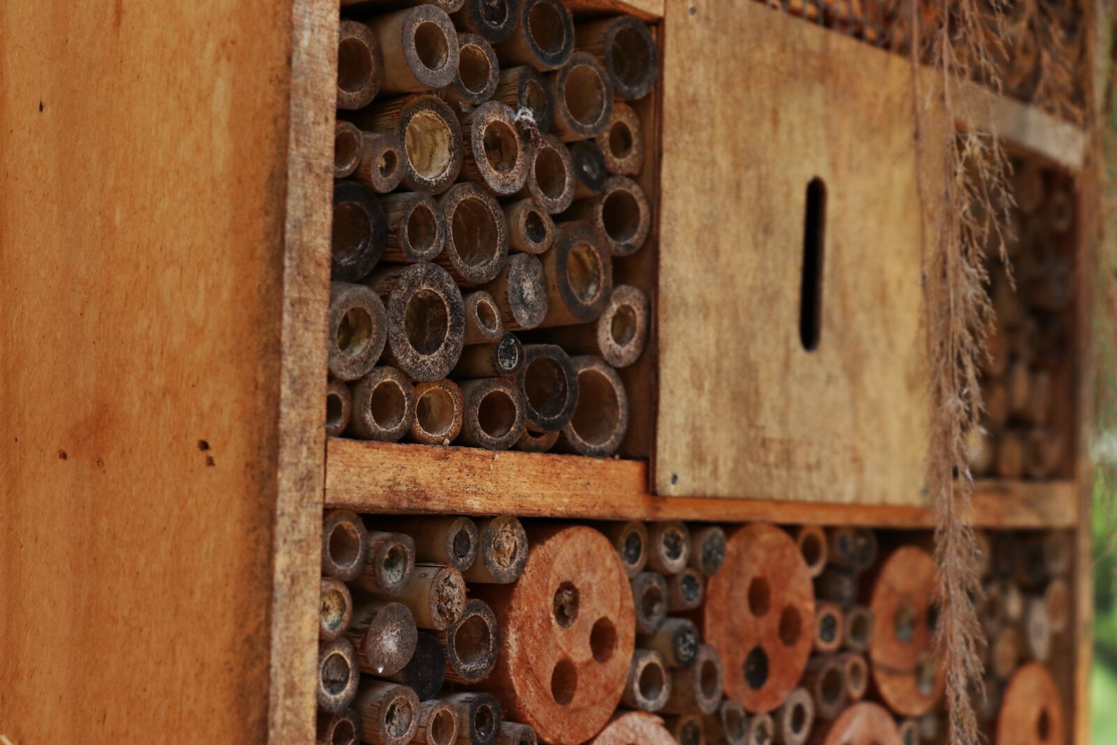 Canon EF-S 18-135mm F3.5-5.6 IS USM sample photo. Insect hotel, habitat, brown photography