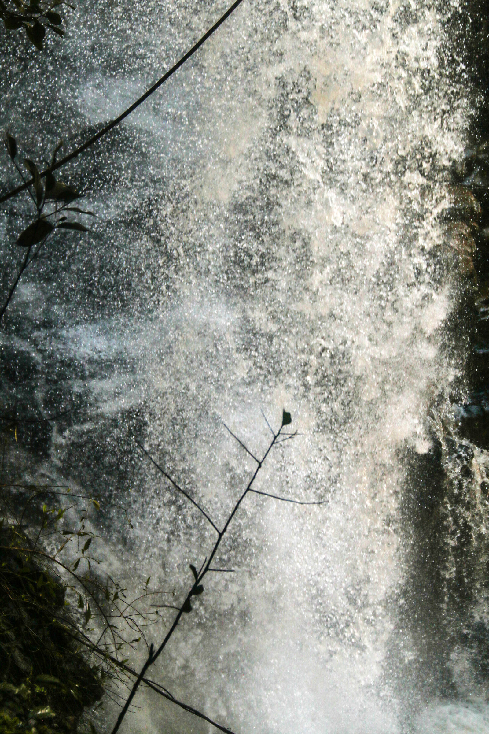 Canon EF-S 18-200mm F3.5-5.6 IS sample photo. Forest, nature, waterfall photography