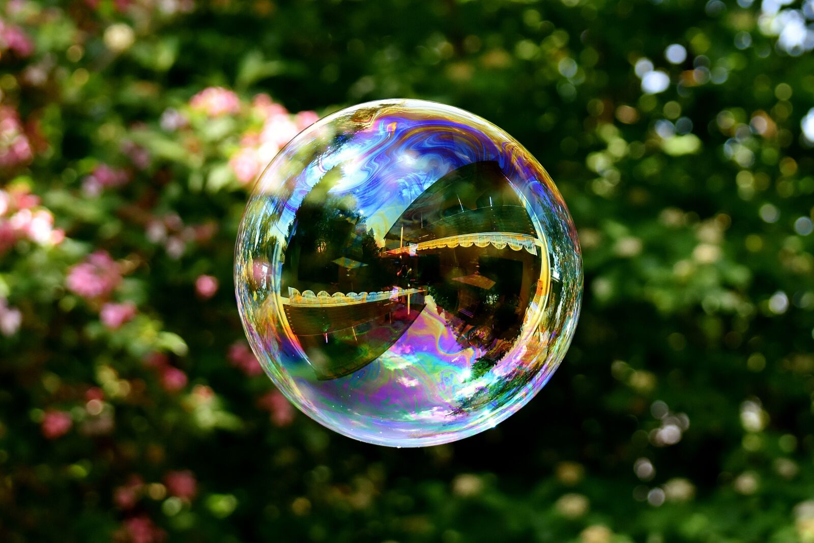 Nikon D7200 sample photo. Soap bubble, large, make photography