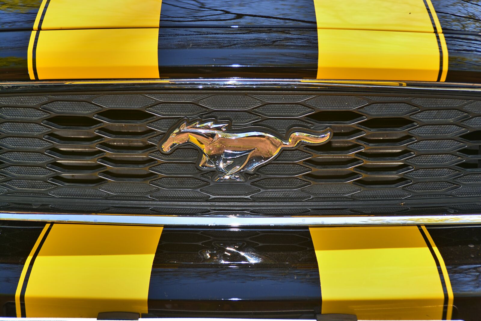 Nikon D5200 sample photo. Auto, mustang, sports car photography