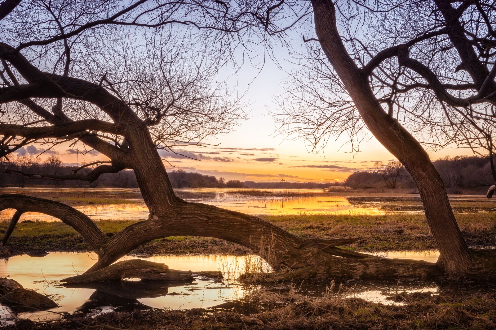 Tokina AT-X 16-28mm F2.8 Pro FX sample photo. Elbe, high water, sunset photography