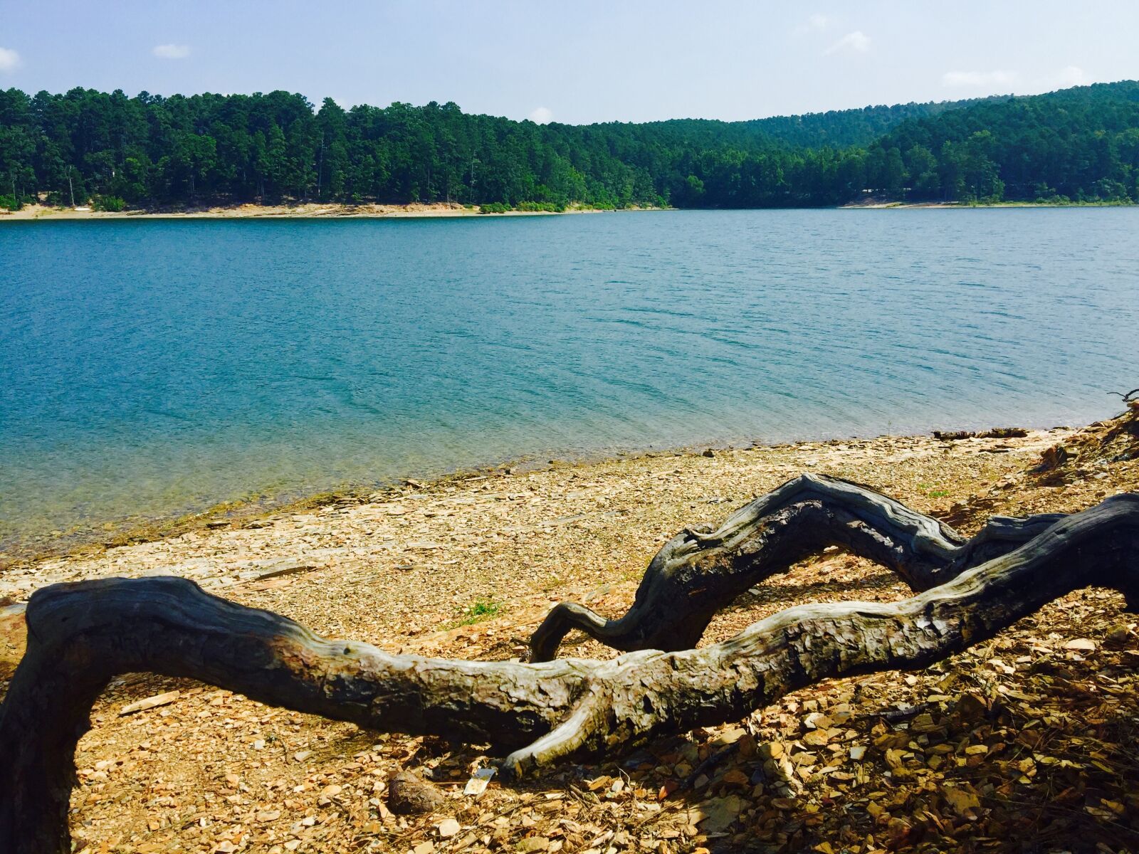 iPhone 6 Plus back camera 4.15mm f/2.2 sample photo. Lake, ouachita, arkansas photography